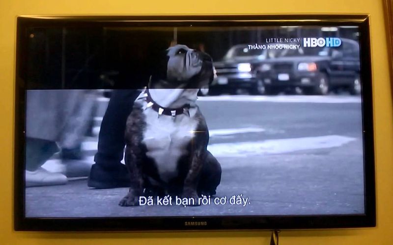 Tivi Samsung bị mất màu