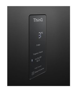 Tủ lạnh LG LTD46BLMA - hình số 6