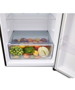 Tủ lạnh LG LTD46BLMA - hình số 9