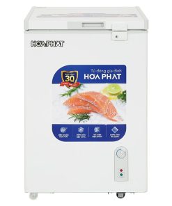 Tủ đông Hòa Phát HPF AD6107 - hình số 2