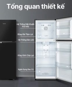 Tủ lạnh Hisense RT256N4EBN - hình số 4
