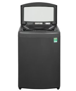 Máy giặt LG T2514VBTB - hình số 2