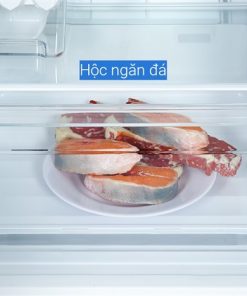 Tủ lạnh Toshiba GR-RB405WE-PMV(06)-MG - hình số 8