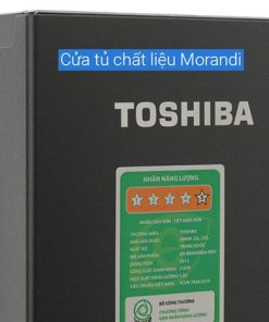 Tủ lạnh Toshiba GR-RB405WEA-PMV(06)-MG - hình số 19