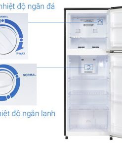 Tủ lạnh Funiki HR T6209TDG - hình số 10
