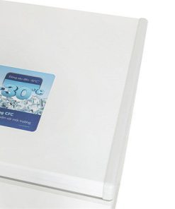 Tủ đông Hòa Phát AN6252 - hình số 3