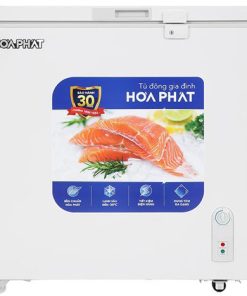 Tủ đông Hòa Phát AD6162 - hình số 1