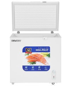 Tủ đông Hòa Phát AD6162 - hình số 7