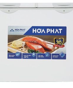 Tủ đông Hòa Phát BD6271 - hình số 1