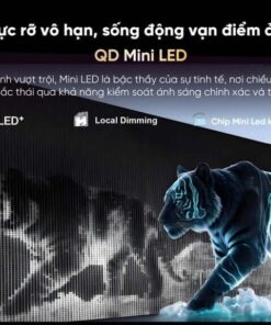 Tivi Coocaa 75V75 - hình số 13