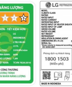 Tủ lạnh LG LTB21BLMI - hình số 6