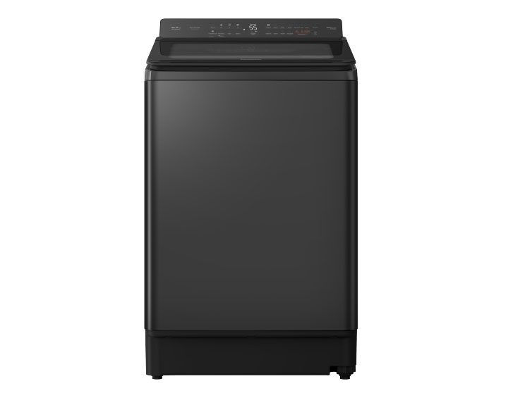 Máy giặt Panasonic NA-FD165V3BV - hình số 1