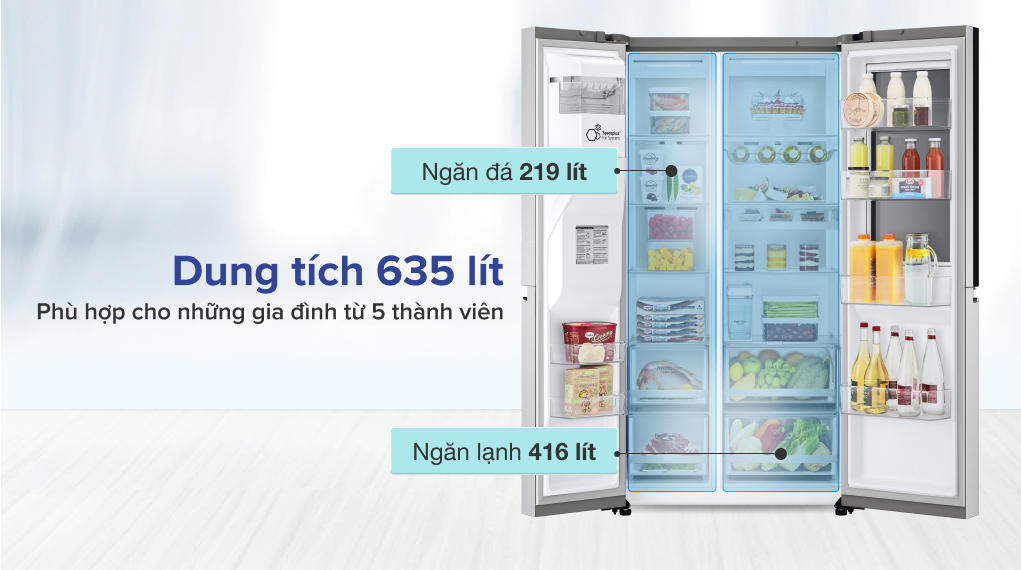 Ngăn lạnh tủ lạnh LG GR-X257JS