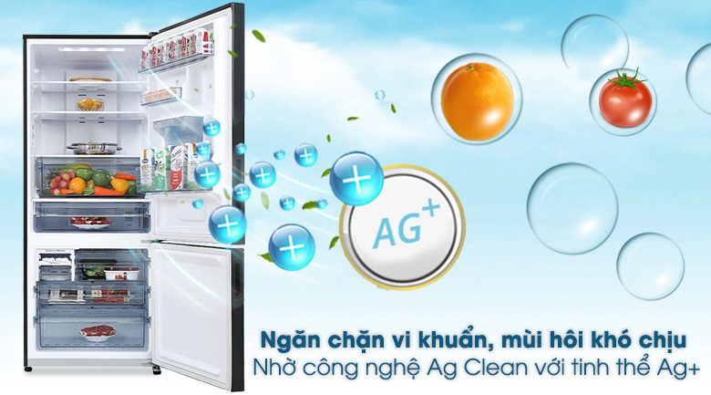 Tủ lạnh Panasonic - Ngăn chặn vi khuẩn, mùi hôi khó chịu với công nghệ Ag Clean với tinh thể Ag 