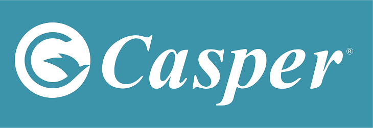 Casper là thương hiệu điện lạnh chất lượng đến từ Thái Lan