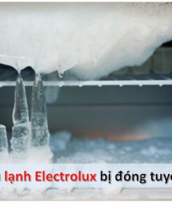 Tủ lạnh Electrolux bị đóng đá ngăn mát