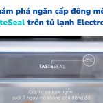 Ngăn đông mềm TasteSeal của tủ Electrolux: lợi ích, cách chỉnh