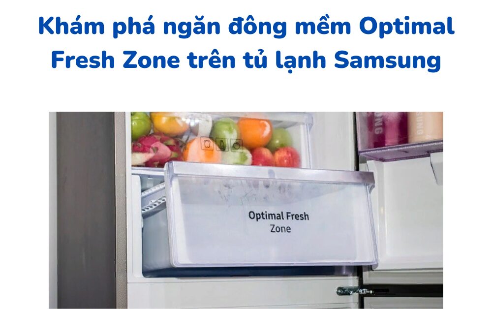 Khám phá ngăn đông mềm Optimal Fresh Zone của tủ lạnh Samsung