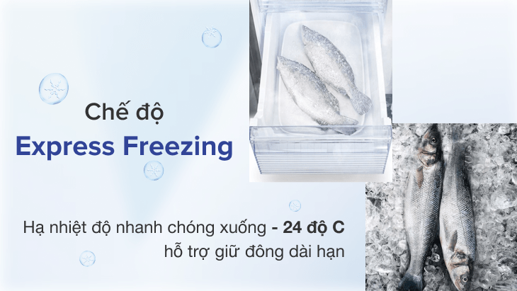 Công nghệ Express Freezing cấp đông nhanh thực phẩm tươi sống