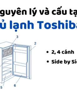Nguyên Lý Và Cấu Tạo Tủ Lạnh Toshiba