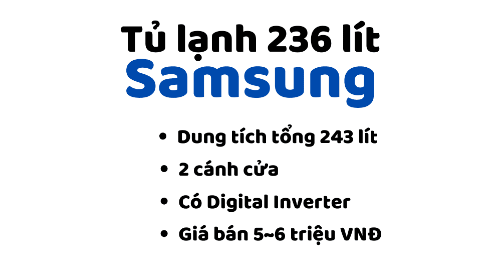 Tủ Lạnh Samsung 236 Lít