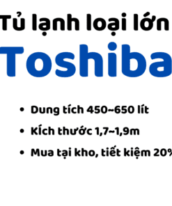 Tủ Lạnh Toshiba Loại Lớn