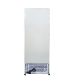 Tủ đông Alaska IF-350G - hình số 4