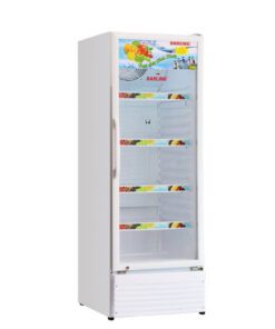 Tủ mát Darling DL-2110A - hình số 2