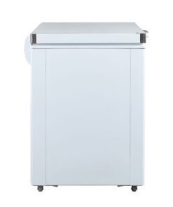 Tủ đông Alaska BD-400CI - hình số 3