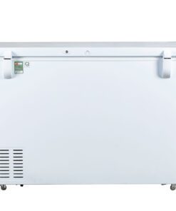 Tủ đông Alaska BD-400CI - hình số 4