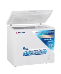 Tủ đông Alaska BD-400C - hình số 3