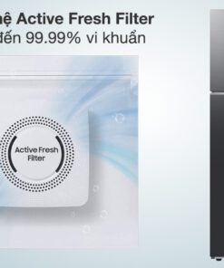 Tủ lạnh Samsung RT42CG6584B1SV - hình số 2
