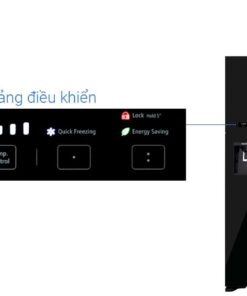 Tủ lạnh Hitachi R-FW690PGV7 (GBK) - hình số 11