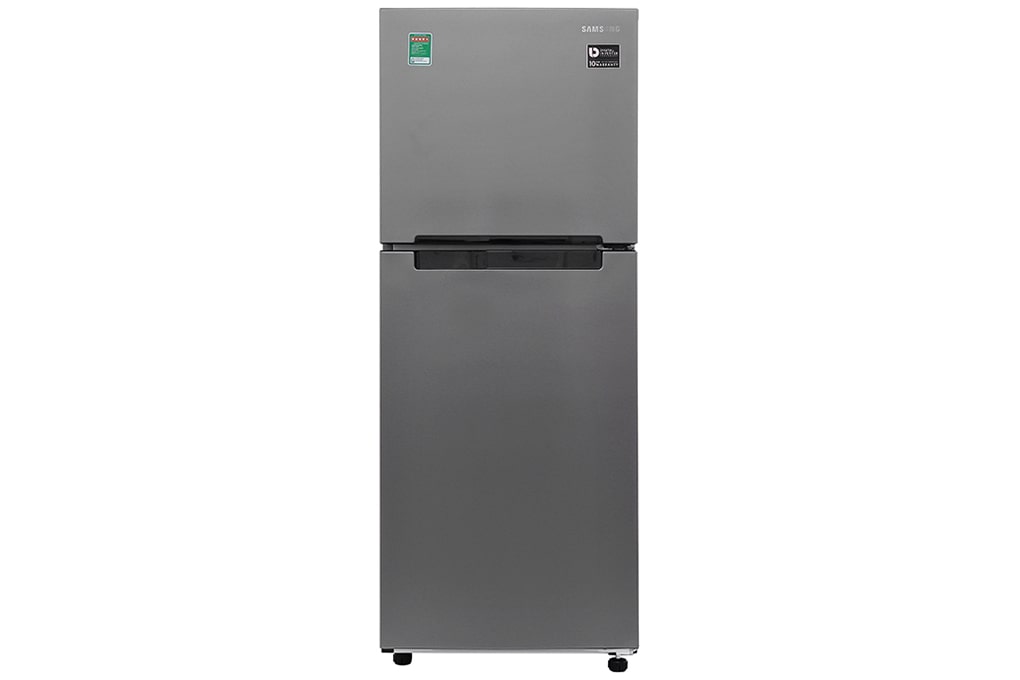 Tủ lạnh Samsung RT19M300BGS/SV | 208L 2 cánh inverter