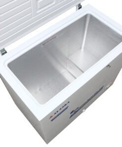 Tủ đông Alaska BD-300 - hình số 2