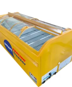 Tủ đông Darling DMF-10079ASKI - hình số 5