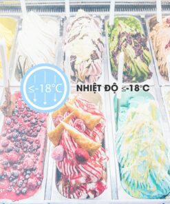 Tủ đông Sanaky VH-282K - hình số 11