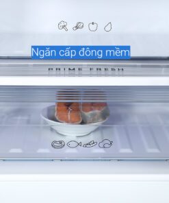 Tủ lạnh Panasonic NR-BV281BGMV - hình số 4