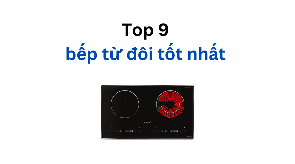 bếp từ đôi loại nào tốt