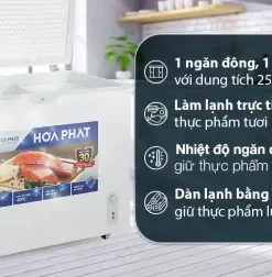 Tủ đông Hòa Phát HPF AD6252 - hình số 3