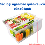 Tìm hiểu các ngăn bảo quản rau củ chuyên dụng của tủ lạnh