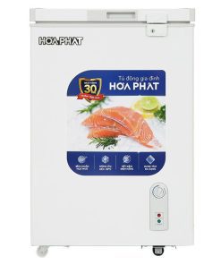 Tủ đông Hòa Phát HPF AD6107 - hình số 1