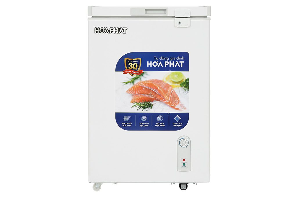 Tủ đông Hòa Phát HPF AD6107 - hình số 1