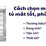 Kinh nghiệm chọn mua tủ mát phù hợp | Tư vấn 5 tiêu chí chọn