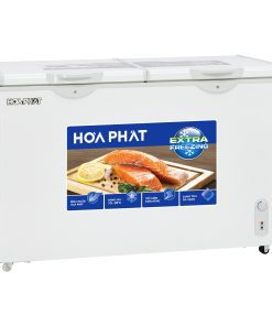 Tủ đông Hòa Phát BN6245 - hình số 1