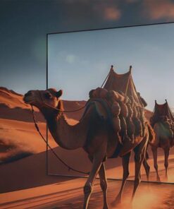 Tivi Coocaa 55V75 - hình số 8